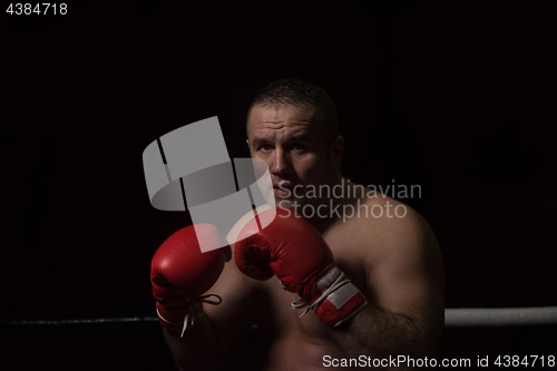 Image of professional kickboxer in the training ring