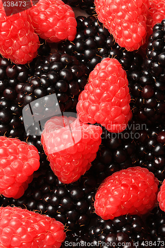 Image of berries dessert