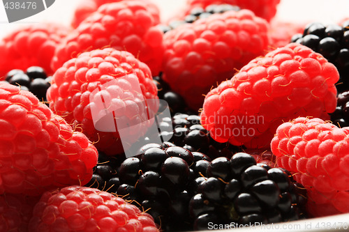 Image of raspberries and blackberries