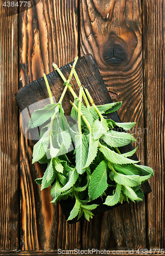 Image of fresh mint