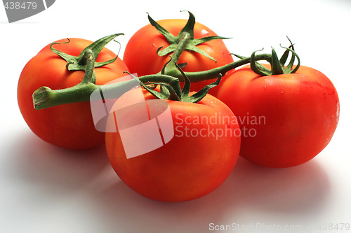 Image of fresh red tomatoes