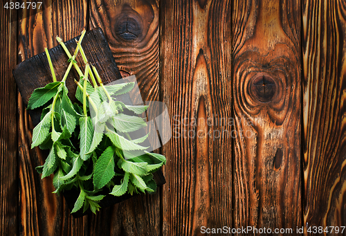 Image of fresh mint