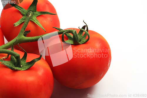 Image of three tomatoes