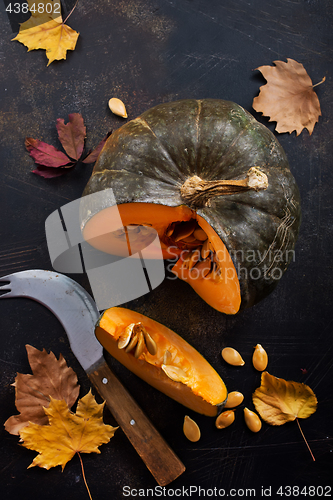 Image of pampkin