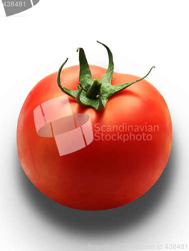 Image of fresh tomato