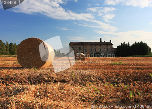 Image of corn and farmhouse