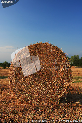 Image of hay bale