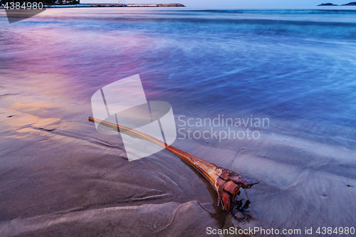 Image of Sunrise over the sea