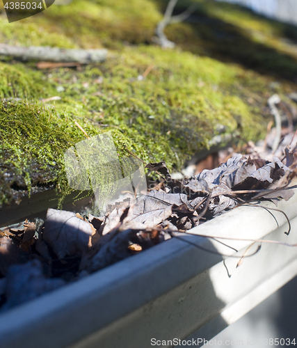Image of leaves in house gutter with moss on roof