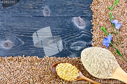 Image of Flour and seeds flax in spoons on black board