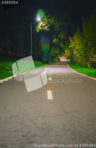 Image of Path In The Public Park At Summer Night 