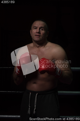 Image of professional kickboxer in the training ring