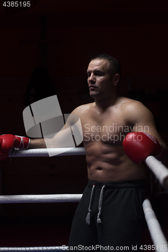 Image of kick boxer resting on the ropes in the corner