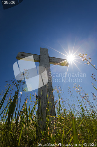 Image of Grave in sunlight