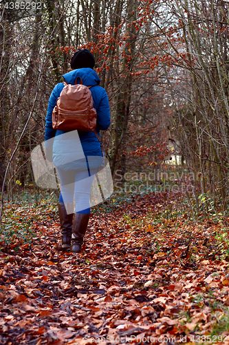 Image of Woman hiking through fall woodland, dressed in a warm jacket