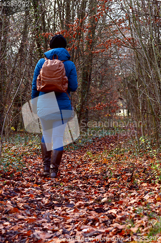 Image of Woman hiking through fall woodland, dressed in a warm jacket