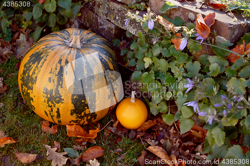 Image of Large striped pumpkin with a small orange gourd 