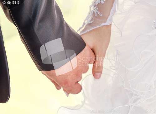 Image of Wedding couple holding hands