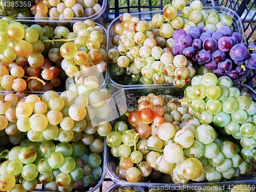 Image of Grapes