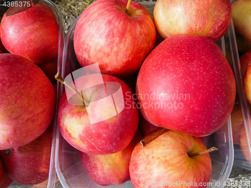 Image of Apples