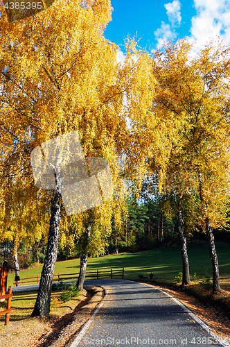 Image of Autumn