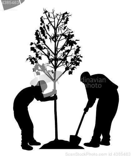 Image of Two men planting a tree