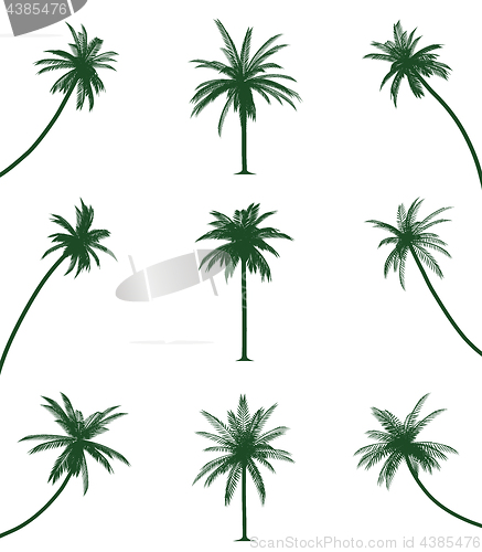 Image of Green palm trees