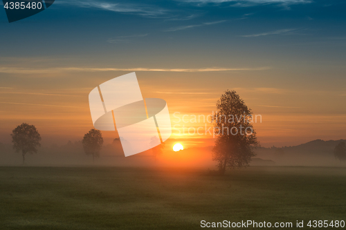 Image of First rays of the sun over foggy field