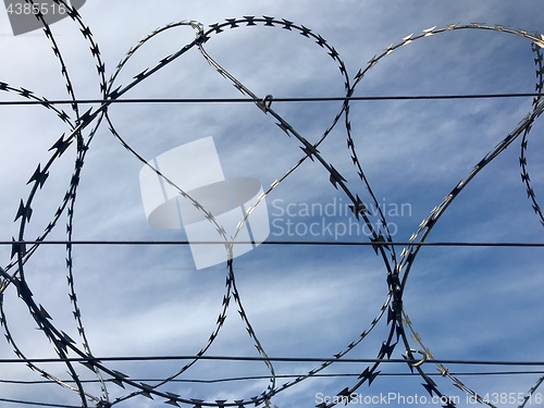 Image of Barbed wire and sky