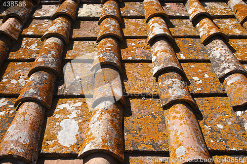 Image of detail of terracotta roof tiles