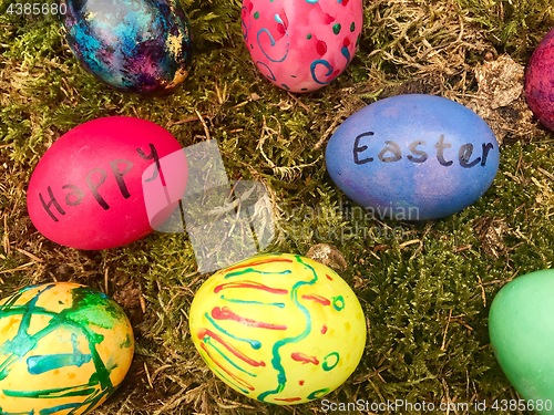 Image of Happy Easter - Colourful Easter eggs in green moss.