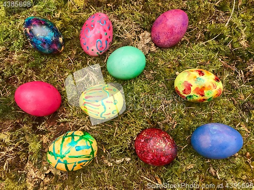 Image of Happy Easter - Colourful Easter eggs in green moss.