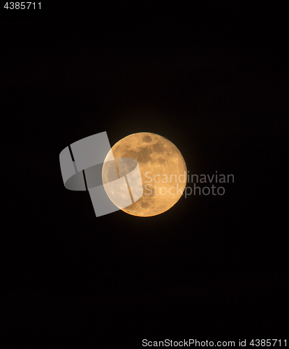 Image of Blue Moon Rising Portrait Orientation