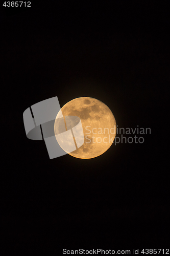 Image of Blue Moon Rising Photo Dimensions Portrait