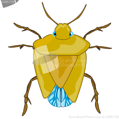 Image of Bad insect bedbug