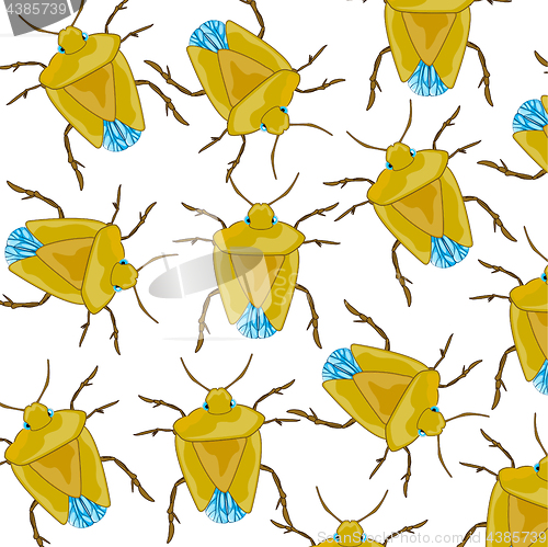 Image of Insect bedbug pattern