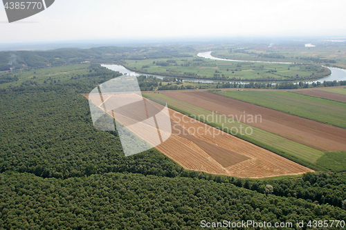 Image of Aerial View: Golden Wheat field