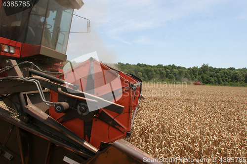 Image of Combine harvesting wheat