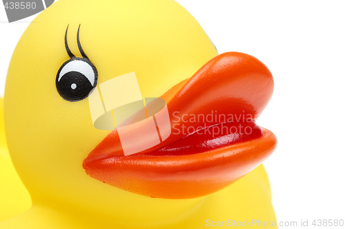 Image of small yellow plastic duck