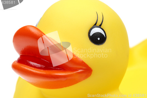 Image of small yellow plastic duck