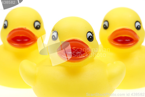 Image of small yellow plastic ducks