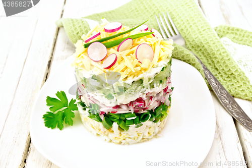 Image of Salad layered with radish and cucumber in plate on light board