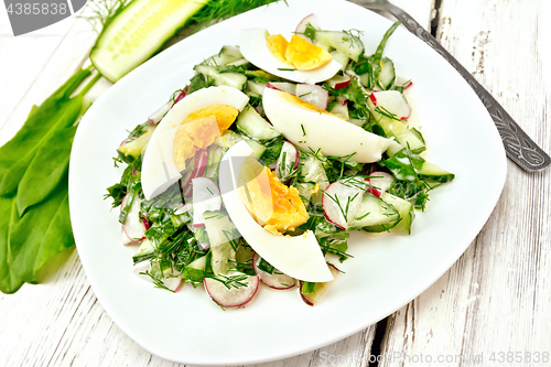 Image of Salad with radish and egg in plate on board