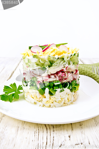 Image of Salad layered with radish and cucumber on board