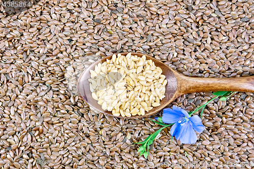 Image of Linen seeds white in spoon with flower