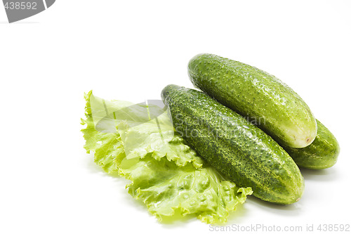 Image of Cucumbers on lettuce