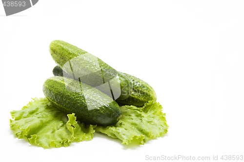 Image of Cucumbers on lettuce