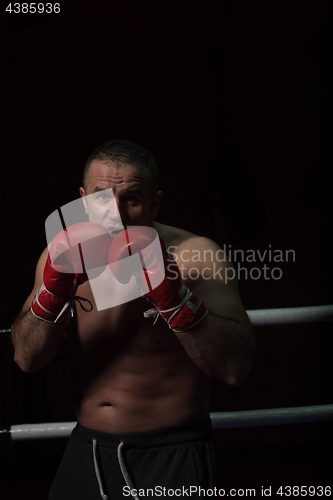 Image of professional kickboxer in the training ring