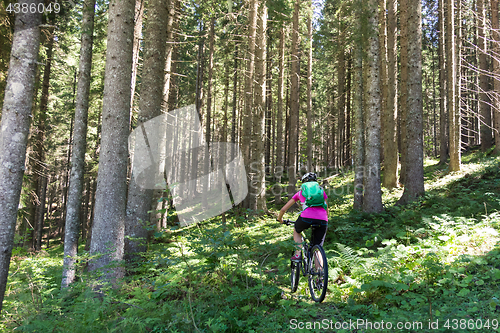 Image of Active sporty woman riding mountain bike on forest trail .