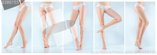 Image of The collage from images of perfect female legs in underwear